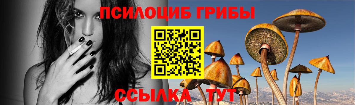 Галлюциногенные грибы MAGIC MUSHROOMS Хабаровск